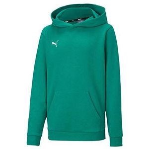 PUMA Uniseks kinderen, TeamGOAL 23 Casuals Hoody Jr Hoodie, groene peper, 164