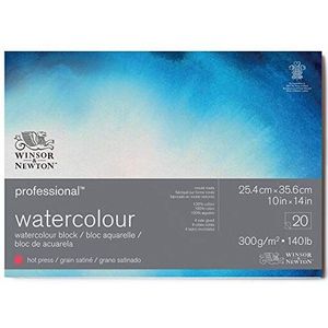 Winsor & Newton 6664007 20 vellen aquarelpapier professioneel 25,4 x 35,6 cm 300 g/m² zijdemat natuurlijk wit archiefkwaliteit helder wit papier bestand tegen vergeling