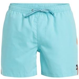 Quiksilver Everyday Beach Volley 15 Jumpsuit voor heren, kort, 1 stuk, Navy Blauw, M