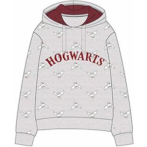CERDÁ LIFE'S LITTLE MOMENTS Origineel Harry Potter sweatshirt met capuchon van geborsteld katoen