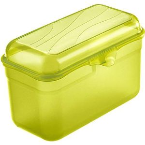 Rotho Fun lunchbox, 1,75 l, met kliksluiting, kunststof (PP), BPA-vrij, groen, 1,75 l (19,5 x 10,5 x 12,5 cm)