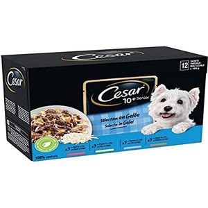 CESAR Maaltijd voor senioren – 48 vershoudzakjes (4 verpakkingen 12 x 100 g) – hondenvoer van gelei – rundvlees/kip/lam/kalkoen – compleet en uitgebalanceerd voer met natuurlijke ingrediënten