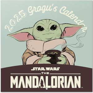 Kalender 2025 30 x 30 star wars the mandalorian grogu