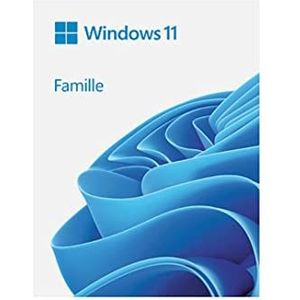Microsoft usb Windows 11 Home 64 bit