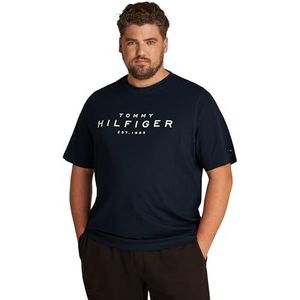 Tommy Hilfiger Bt-big Rwb Hilfiger Tee-b Mw0mw39105 T-shirt S/S heren, Blauw (Desert Sky)