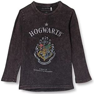 Cerdá Lange mouwen shirt merk model Long Single Jersey Harry Potter
