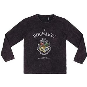 Cerdá Lange mouwen shirt merk model Long Single Jersey Harry Potter