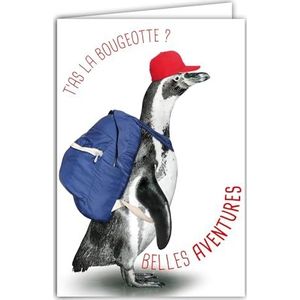 Vertrekkaart naar nieuwe avonturen, humoristische boodschap met envelop geïllustreerd, formaat 17,5 x 12 cm, grappig grappig dier, verhuizing of pensioen, gemaakt in Frankrijk 69-6223