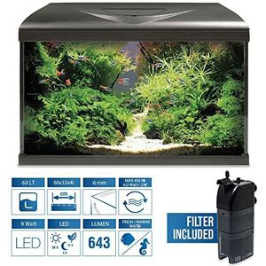 Amtra Aquarium System Tank V2 aquarium compleet glas 60 liter, 9 W ledlicht en filterpomp inbegrepen, zoet of zout water, zwart, 60 x 32 x 42 cm