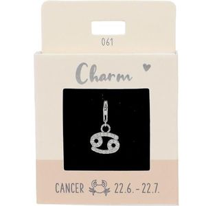 Depesche 11785-061 Charmes Express yourself - Pendentif pour colliers et bracelets, crabe, argenté, comme petit cadeau