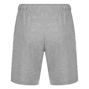 Champion Legacy Authentic Pants Athletic Jersey Combed Small Logo Bermuda Shorts Heren (1 stuk), Lichtgrijs