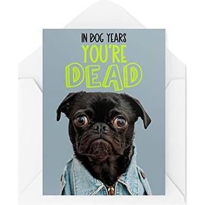 Grappige wenskaarten | In Dog Years You're Dead | Verjaardag Mops Old Parent Grootouders Banter Best Friend Grappig | CBH1256