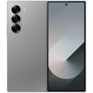 Samsung Galaxy Z Fold6 Smartphone, 1 TB, grijs