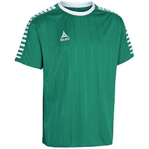 Select Player Shirt S/S Argentina Shirt Unisex, groen/wit