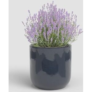 Artevasi Jupiter Keramische bloempot met geëmailleerde afwerking, 25 cm, nachtblauw