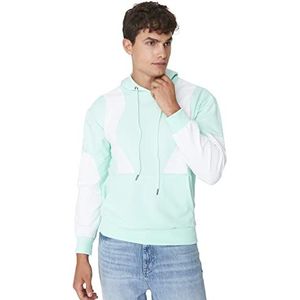 Trendyol Colorblock Regular Hooded Sweatshirt Heren Mint, XL, Munt
