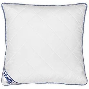 Irisette Body Contour Hoofdkussen, 80 x 80 cm, met afneembare overtrek van zachte microvezel, wasbaar tot 60 graden, wit/blauw, Öko-Tex gecertificeerd, vervaardigd volgens Duitse kwaliteitsnormen