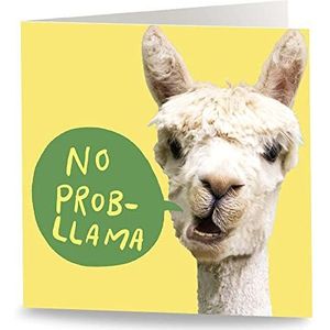 Maturi Grappige wenskaart ""No Prob-Lama"", onbedrukt aan de binnenkant