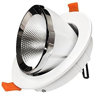 G.W.S® 30 W directioneel verstelbare inbouwlamp met LED kruiskoppeling warm wit incl. LED-driver