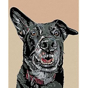 ZUTY 788220 schilderen op nummer hond en oor punt, 40 x 50 cm, zonder lijst