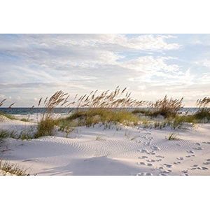 Scenolia Vliesbehang, strand en zanddone, wit, 4 x 2,70 m, wanddecoratie, tromp l'Oeil - panoramische betegeling XXL - eenvoudige installatie en HD-kwaliteit