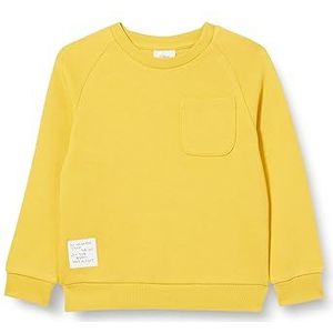 s.Oliver T-shirt met lange mouwen voor jongens, Blauw