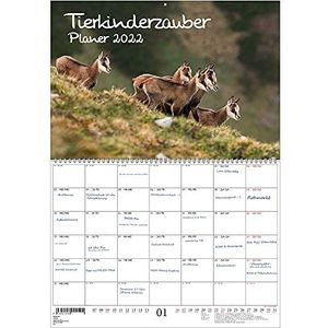 Animal Magic Planner DIN A2 open – kalender 2022 baby's en dieren baby's – Soul Magic