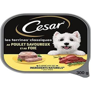 CESAR Hondenvoeding, set van 20 schalen à 300 g, hondenvoer Les Terrine Classiques met lekkere kip en lever, natvoer voor honden