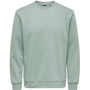 Only & Sons Onsconnor Reg Crew Neck Sweatshirt Noos trainingspak voor heren, Chinees groen