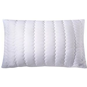 Billerbeck Vezelkussen S20 - verschillende maten en varianten, katoen, wit, 040 x 080 cm
