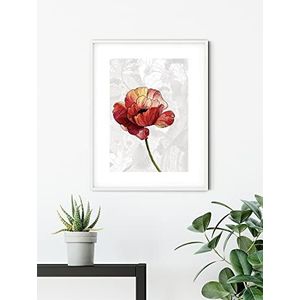 Komar Amora muurschildering afmeting 50 x 70 cm poster kunstdrukken woonkamer decoratie slaapkamer (zonder lijst)