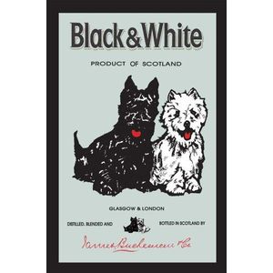 Lalee Empire 537416 Black and White Whisky - bedrukte spiegel met kunststof frame in houtlook, cult-spiegel - afmeting 20 x 30 cm