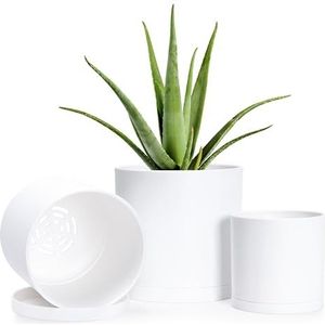 RZMZBY 5 stuks bloempotonderzetters, plantenonderzetters, onderzetters voor bloempotten, kunststof bloemenonderzetters voor binnen- en buitenplanten, 5 met plantenetiketten (16,9 cm, zwart RZMZBY 5 stuks bloempotonderzetters, plantenonderzetters, onderzetters voor bloempotten, kunststof bloemenonderzetters voor binnen- en buitenplanten, 5 met plantenetiketten (16,9 cm, zwart