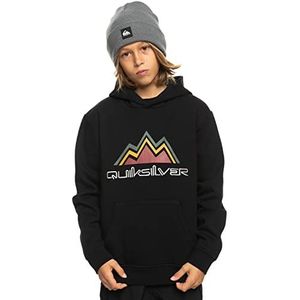 Quiksilver Snow Youth Big Logo Hoodie Sweatshirt voor jongens (1 stuk)