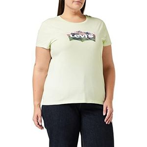 Levi's The Perfect Tee Summer Mountain Fill Ba T-shirt voor dames, The Perfect Tea Summer Mountain Fill Batwing Meadow Mist