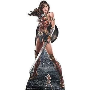 DC Comics Wonder Woman Karton, meerkleurig