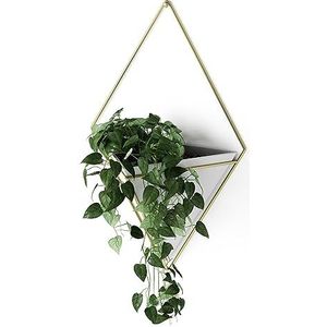 Umbra Trigg hangende bloembak en geometrische wanddecoratie, voor kleine planten, vetplanten en nog veel meer, wit/messing