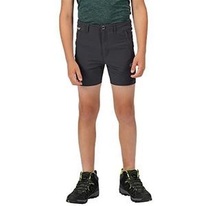 Regatta JNR Highton Shrts broek, uniseks, India Grey, 13 jaar, India Grey