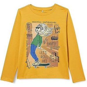 NAME IT Nkmlavs LS Top Pb T-shirt met lange mouwen voor jongens, Gouden barnsteen.