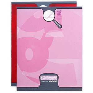 Calligraphe 108707C Een set met 20 schriften (een merk van Clairefontaine) – 17 x 22 cm – 32 pagina's dubbele lijn 2 mm verticale regelafstand – papier 90 g – envelop offsetkaart – kleuren willekeurig