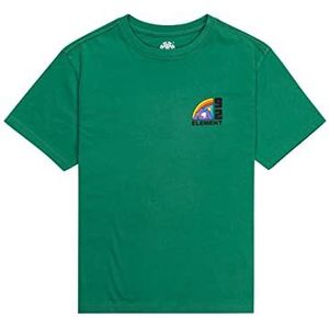 Quiksilver Farm SS Youth jongens T-shirt (1 stuk)