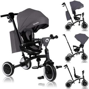 LIONELO Kinderfiets 2-in-1 Tris Plus, multifunctionele groeit met je kind van 9 handen tot 5 jaar, draaibare zitting, grote PU-wielen, buggy-kinderwagen, driewieler tot 25 kg (GREY STONE)