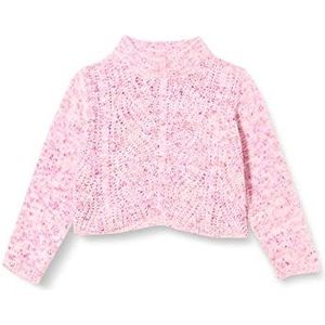 Name It Nkfnipretty LS-Short en tricot pour filles et filles, Raisin Smoke, 122-128