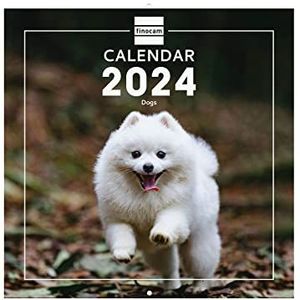 Finocam, muurkalender 2024, internationale foto's, januari 2024-december 2024 (12 maanden) internationaal, honden
