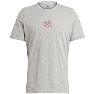 Five Ten shirt met korte mouwen 5.10 Graphics Logo heren, grijs gemêleerd