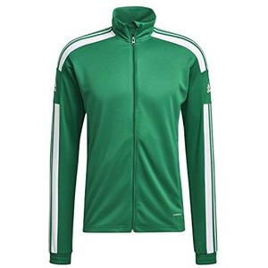 adidas Herenjas Squadra 21 trainingsjas, teamgroen/wit, XS