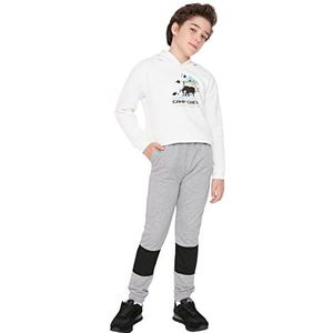 Trendyol Herren Petite Mittlerer Bund Regular Jogginghose Sweatpants Homme, Gray, 3–4 ans