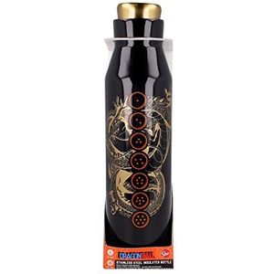 DIABOLO Fles van roestvrij staal, 580 ml, Dragon Ball