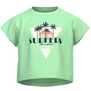 Name It T-shirt voor meisjes, lichtgroen, 116, Lichtgroen