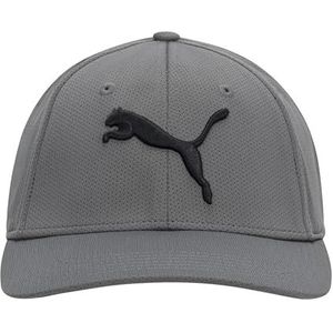 PUMA Evercat Honkbalpet van stretchmesh, uniseks, Medium Grijs